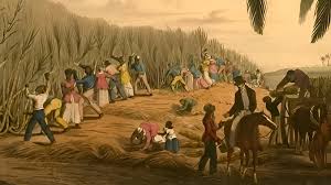 Revolusi Haiti: Keberanian Rakyat untuk Mengubah Sejarah