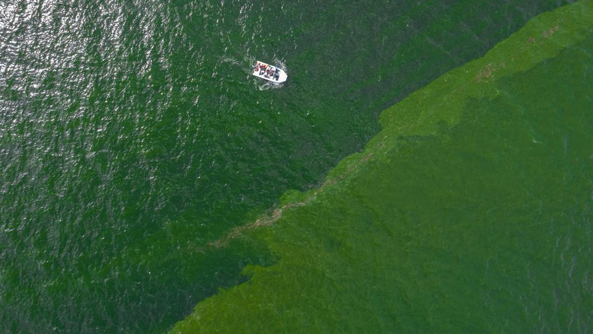 Zona Mati Laut: Ancaman Bahaya Untuk Ekosistem Samudra